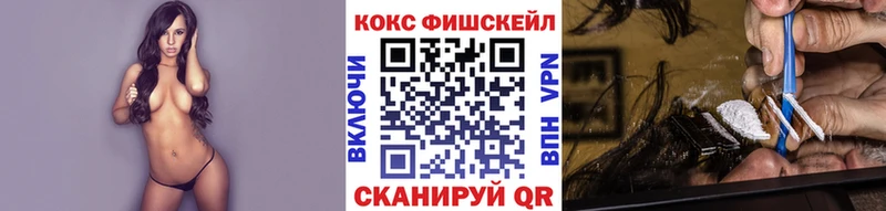 COCAIN Эквадор  купить закладку  Новосокольники 