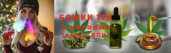 молекула духа Горно-Алтайск