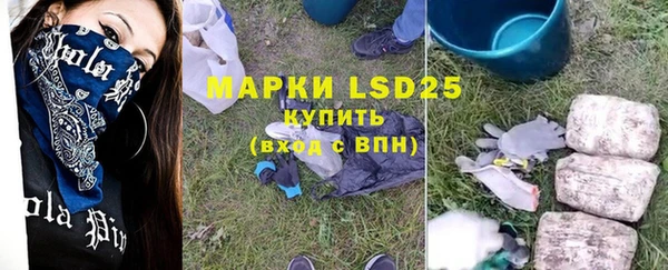 ГАЛЛЮЦИНОГЕННЫЕ ГРИБЫ Горняк