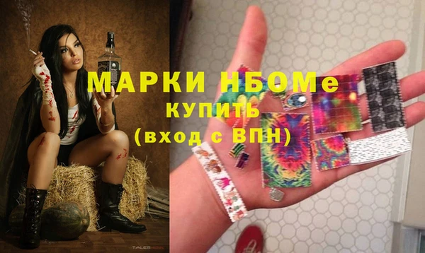 ГАЛЛЮЦИНОГЕННЫЕ ГРИБЫ Горняк