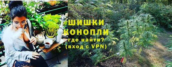 ГАЛЛЮЦИНОГЕННЫЕ ГРИБЫ Горняк