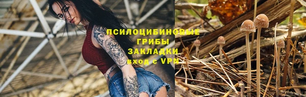ГАЛЛЮЦИНОГЕННЫЕ ГРИБЫ Горняк