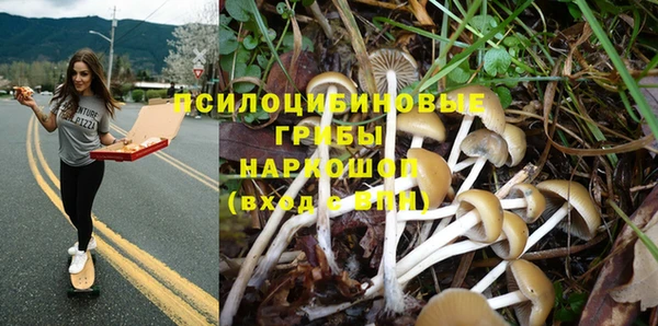молекула духа Горно-Алтайск