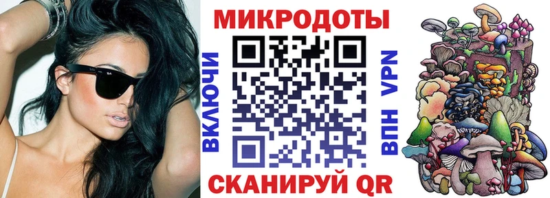 Галлюциногенные грибы Psilocybine cubensis Новосокольники